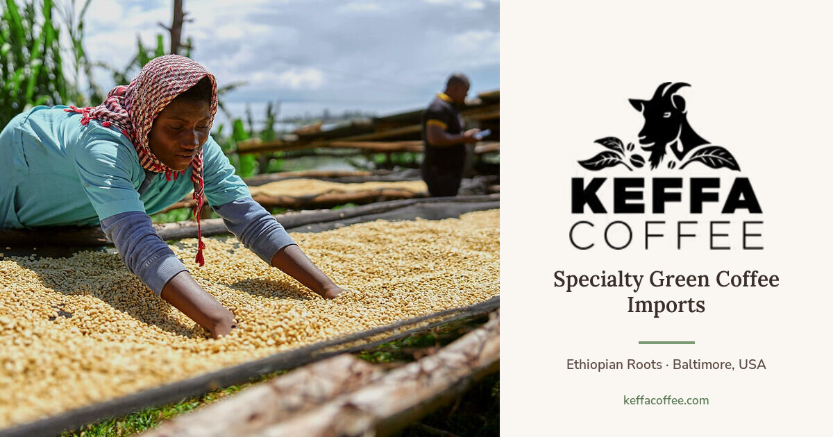 Keffa Keffa Coffee | Green Coffee Importer in Baltimore