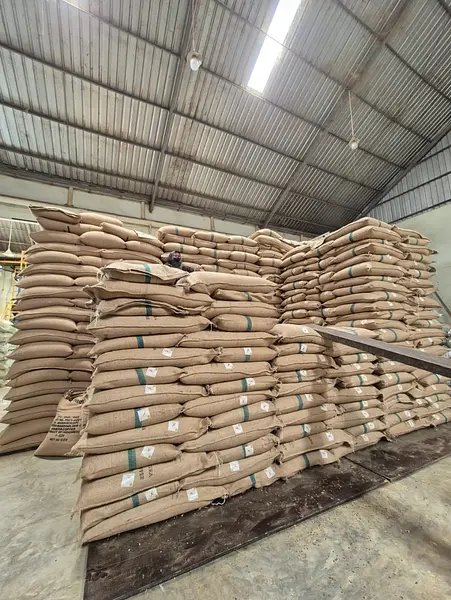 What's Happening in the Coffee World Right Now —
