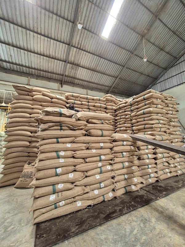 What's Happening in the Coffee World Right Now —