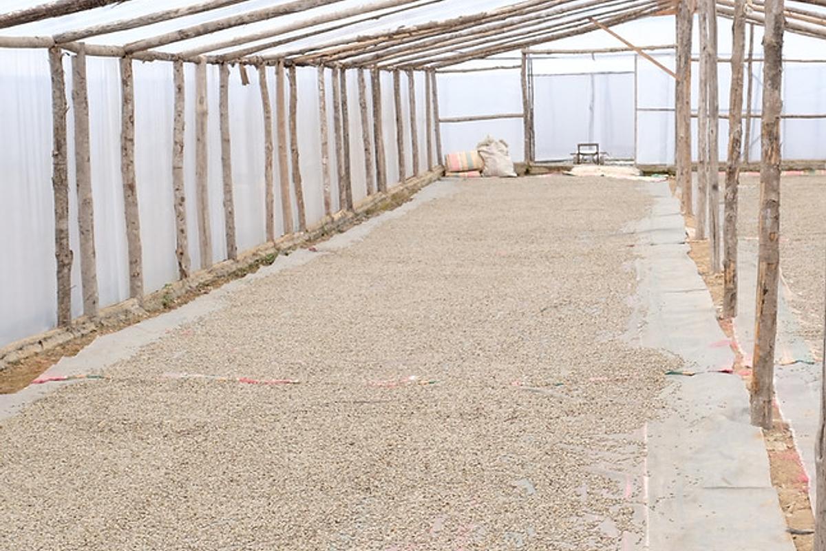 SUMATRA | CV. Kuala Bengi